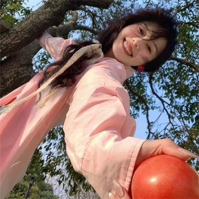 麒麟之翼